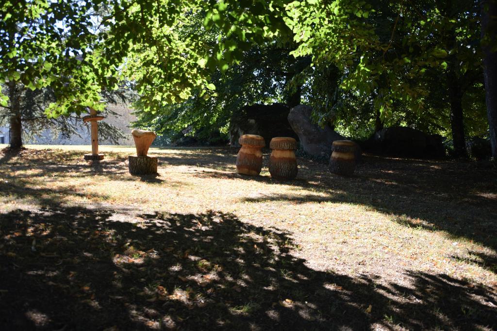 Domaine De La Rocque Bed & Breakfast Liorac-sur-Louyre Exterior photo